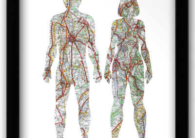 Anatomy / Anatomie