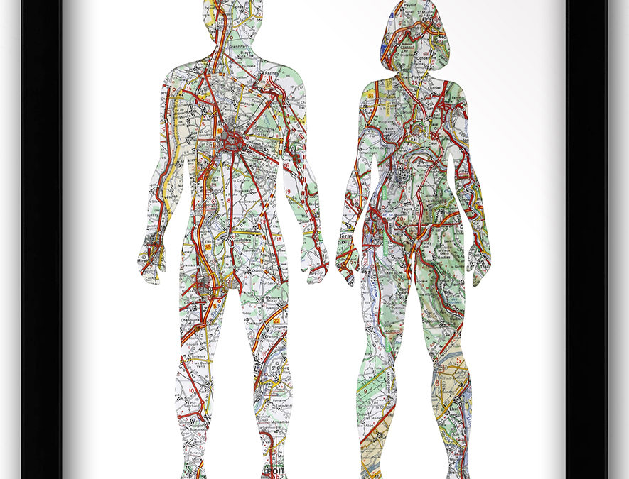 Anatomy / Anatomie