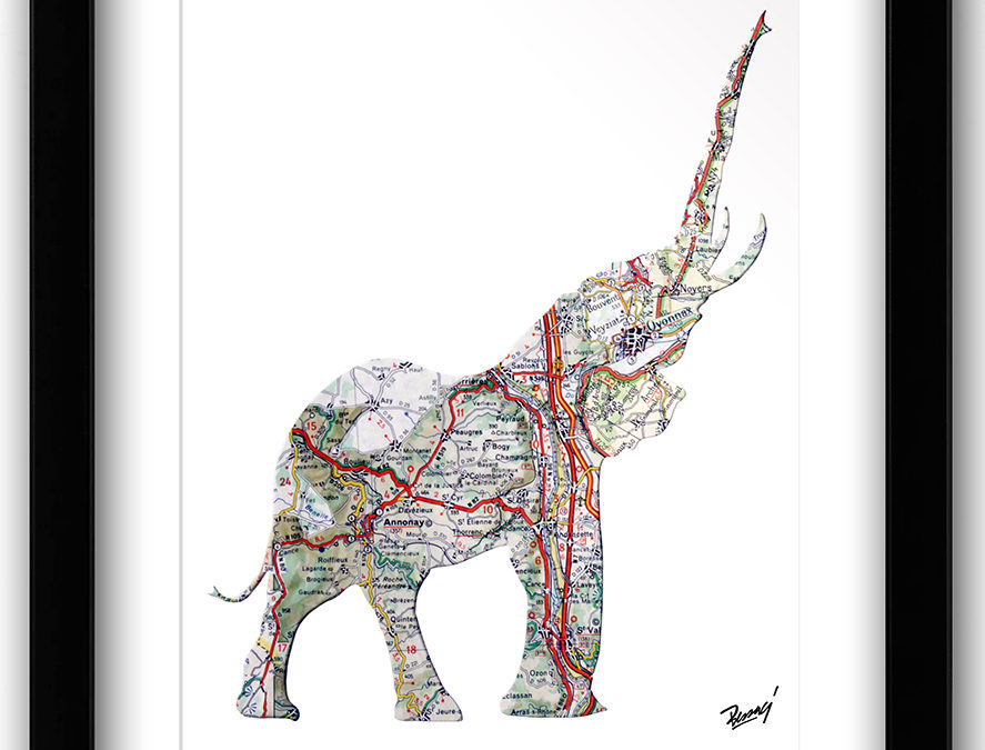 Animals / Animaux